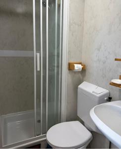 a bathroom with a shower and a toilet and a sink at Le chalet de Blonville in Blonville-sur-Mer