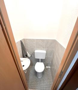 a small bathroom with a toilet and a sink at F-F Haus in Schlierbach