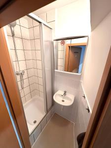 La petite salle de bains est pourvue d'une douche et d'un lavabo. dans l'établissement F-F Haus, à Schlierbach