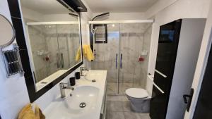 La salle de bains est pourvue d'une douche, d'un lavabo et de toilettes. dans l'établissement Los Gigantes,huge terrace,sea view,air conditioning, à Puerto de Santiago