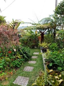 un jardín con un sendero en la hierba y las plantas en Chalet d'une chambre avec terrasse et wifi a Les Makes, en Bellevue