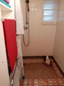 bagno con doccia e pavimento piastrellato di Chalet accueillant à Les Makes avec terrasse & parking inclus a Bellevue
