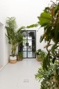 um quarto com vasos de plantas no chão e uma porta em Palazzo Console em Lecce