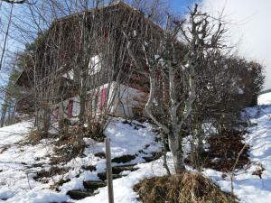 un árbol en la nieve al lado de una casa en Apartment Chalet Colette-2 by Interhome, en Grindelwald