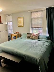 una camera con letto verde e finestra di Cozy Penn King Studio w Kitchen and Free Street Parking! a Philadelphia