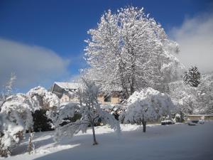 Το Apartment Gernkogel by Interhome τον χειμώνα