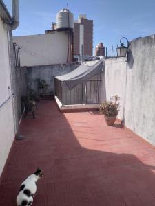 a black and white cat sitting on a brick patio at Queto in Santa Fe
