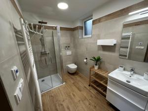 uma casa de banho com um chuveiro, um WC e um lavatório. em Apartment Chalupa 13ka - Dolní apartmán by Interhome em Smržovka