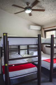 Postel nebo postele na pokoji v ubytování Naranjo Hostel