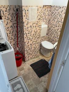 a bathroom with a toilet and a tile wall at ORSI Eco apartman Kecskemét in Kecskemét