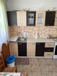 a kitchen with a sink and a counter top at ORSI Eco apartman Kecskemét in Kecskemét