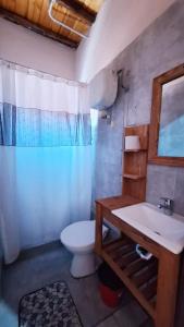 ein Bad mit einem Waschbecken und einem WC in der Unterkunft HOSPEDAJE DODERA in Gualeguaychú