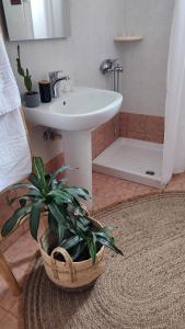 a bathroom with a sink and a potted plant at Plakourakia in Finikas