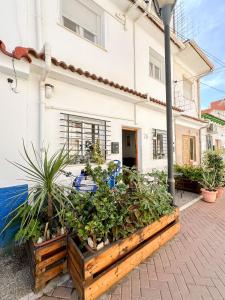 ein Haus mit Pflanzen in einer Holzkiste in der Unterkunft Beach House Málaga in Málaga