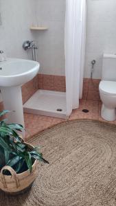 a bathroom with a shower and a sink and a toilet at Plakourakia in Finikas