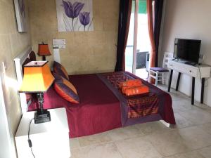 a bedroom with a bed and a desk and a television at Petra Farmhouse B&B in Nadur