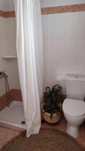 La salle de bains est pourvue de toilettes et d'une douche avec une plante. dans l'établissement Plakourakia, à Finikas
