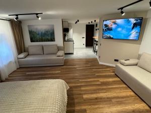 sala de estar con 2 sofás y TV de pantalla plana en Gray Apartment 24h - Parking, en Katowice