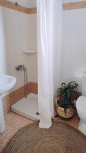 a bathroom with a shower with a toilet and a sink at Plakourakia in Finikas