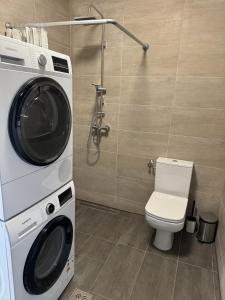 a washer and dryer in a bathroom with a toilet at Top Hill Balaton in Badacsonytomaj +27 photos