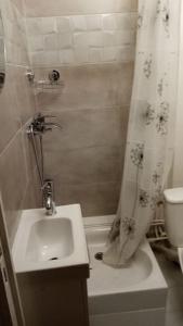 Appartement Jasmin 16ème في باريس: حمام مع دش ومغسلة ومرحاض