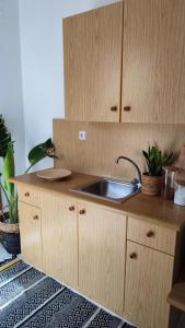 a kitchen with a sink and wooden cabinets at Plakourakia in Finikas