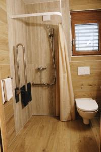 a small bathroom with a toilet and a shower at Maison des Sports in Villars-sur-Ollon