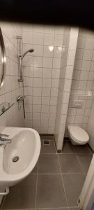een badkamer met een wastafel en een toilet bij Tenthutje BuitenWedde in Wedde