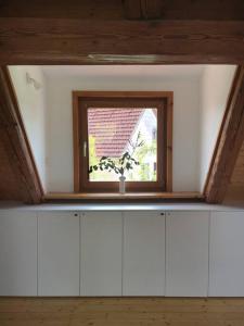 a kitchen with a window and a window sill with a plant at Gemütliches Maisonette-Studio in ehemaliger Scheune in Schwäbisch Gmünd