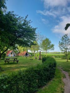 a picnic table and a house in a field at Kleine Pipowagen op natuurcamping in Wedde