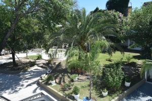 an aerial view of a garden with palm trees and plants at Hotel De Las Artes in Termas de Río Hondo