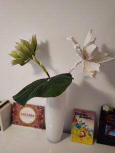 un vaso bianco con un fiore bianco di Room in Guest room - Pension Forelle - Suite a Forbach