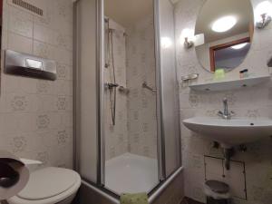 a bathroom with a shower and a toilet and a sink at Room in Guest room - Pension Forelle - Suite in Forbach
