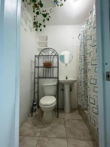 a small bathroom with a toilet and a sink at Tizzy Love Apartament 2 in Santo Domingo