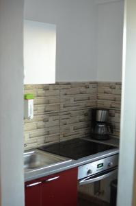 a kitchen with a sink and a stove at Vila cu trandafiri - Cozy Apartments Studio cu pat matrimonial in Bragadiru