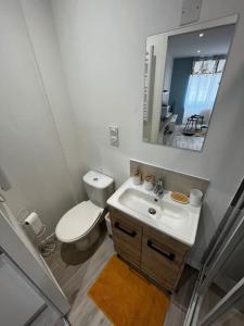 a bathroom with a toilet and a sink and a mirror at La maison castelpontine studio in Pont-du-Château