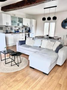 Kuchyňa alebo kuchynka v ubytovaní Le Rabelais, superbe appartement en duplex, proche forteresse et monument historique