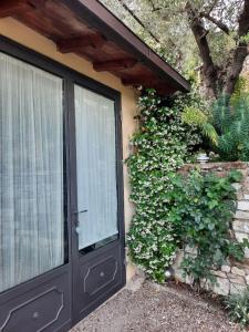 een deur naar een huis met een plant bij Agriturismo Fattoio alle Ripe in Pelago