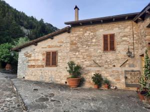 Pelago的住宿－Agriturismo Fattoio alle Ripe，前面有盆栽植物的石头房子
