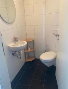 a bathroom with a sink and a toilet at Ferienhaus Thomsen in Epenwöhrden
