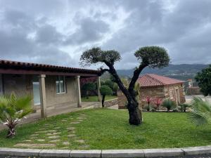 ポンテ・デ・リマにあるCasas do Picoutinhoの庭に木が2本ある家
