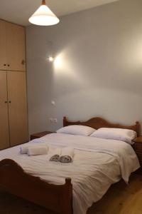 Gallery image of Chrysanthemo House in Arachova