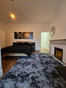 a bedroom with a bed and a fireplace at L'avéjan 170 m2 Alès 10 couchages in Alès