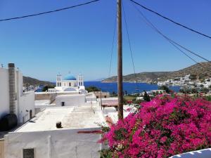 una vista desde el techo de un edificio con flores rosas en Orantes Maris Luxury en Katapola