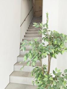 Fotografie z fotogalerie ubytování Cassis Loc - Chambre Meublée v destinaci Cassis
