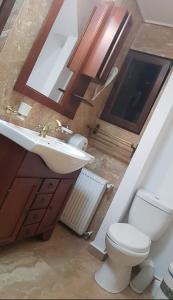 アズガにあるVilla Titanic Residence Spaのバスルーム(トイレ、洗面台、鏡付)