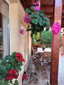 a bunch of flowers hanging from a building at Casa Matei in Turda