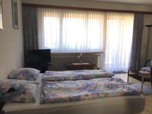 1 dormitorio con 2 camas y TV de pantalla plana en Appartamento Doris en Locarno
