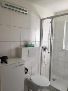 y baño blanco con aseo y ducha. en Appartamento Doris en Locarno