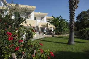 Gallery image of Fili Hotel Apartments in Tigaki